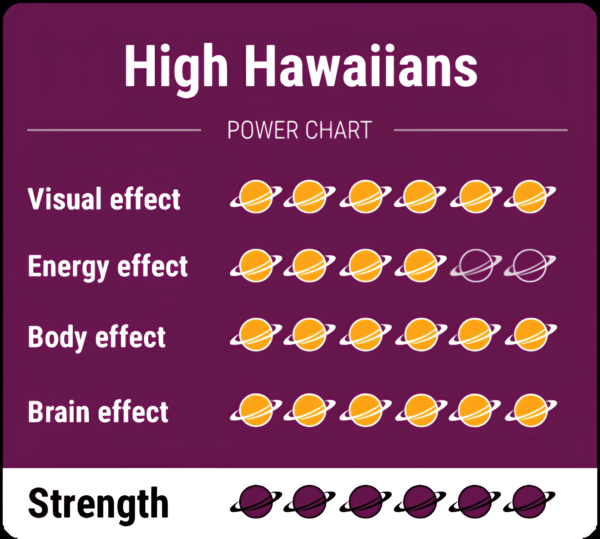 Magic-Truffels-High-hawaiians-PowerCharts-Sterkste-Magic-Truffels
