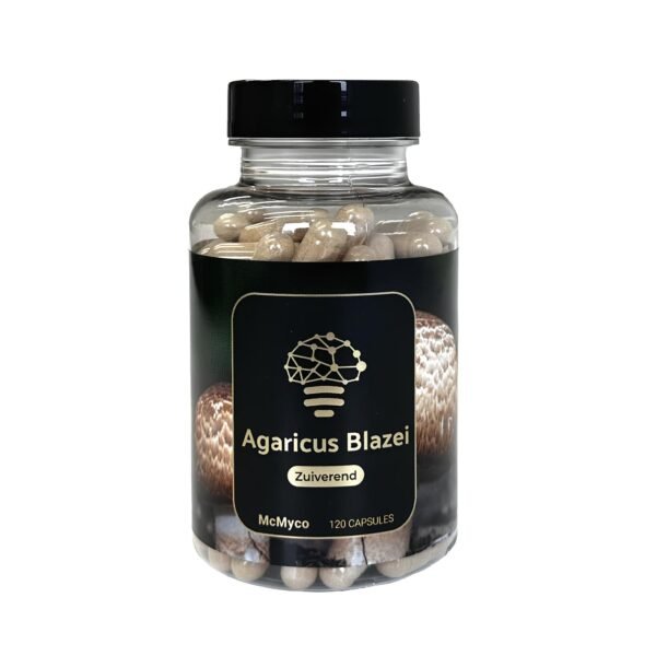 Agaricus-Blazei-1