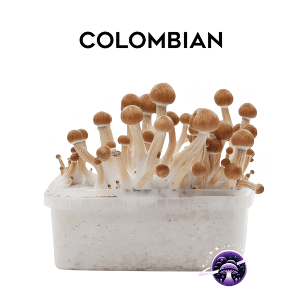 Colombian_GrowKit