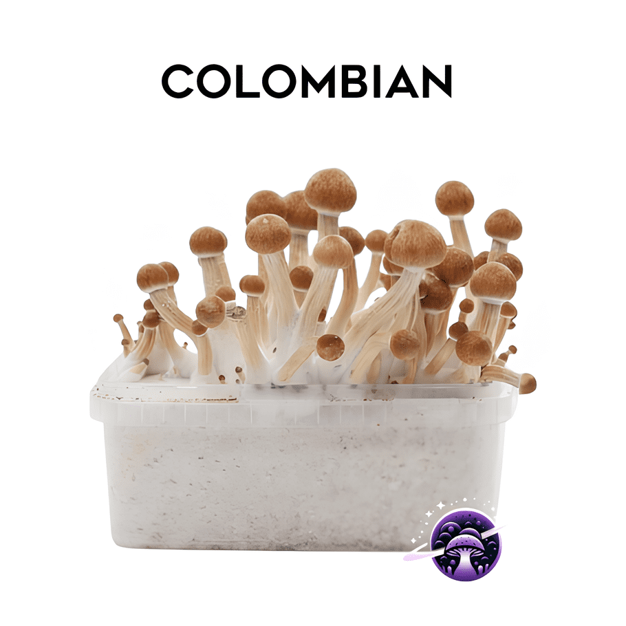 Colombian_GrowKit
