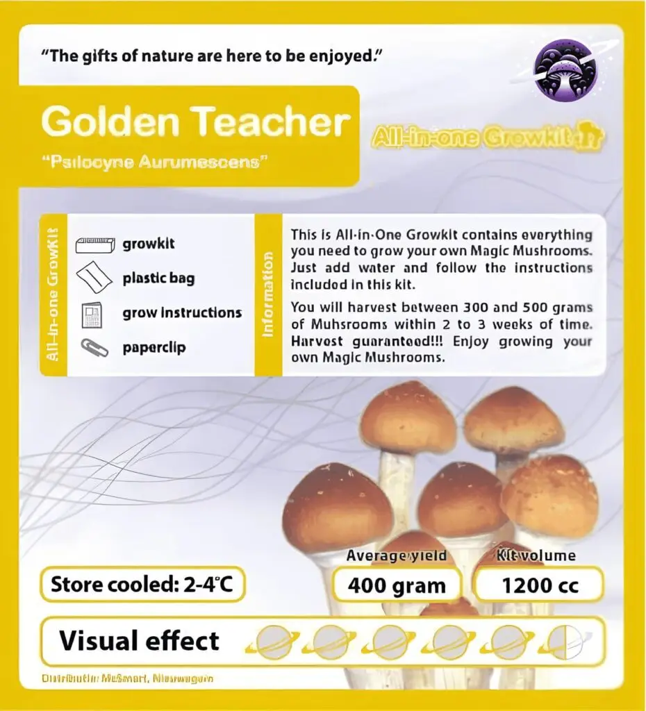 Golden_Teacher_GrowKit_Folder
