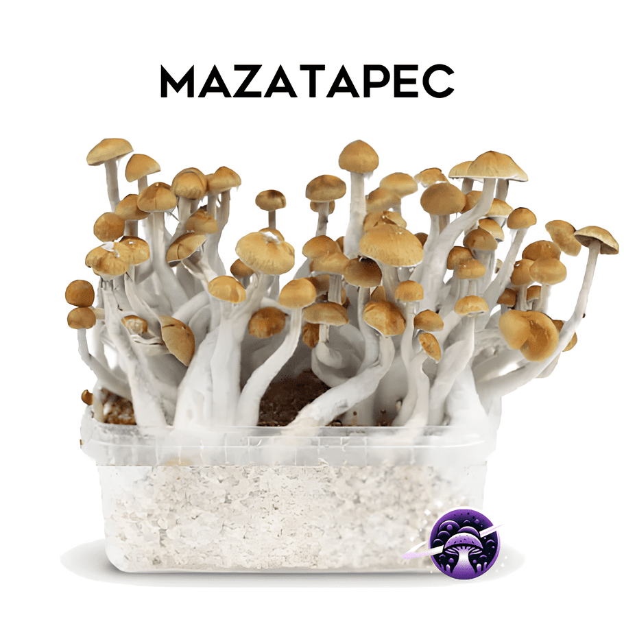 MAZATAPEC-growkit
