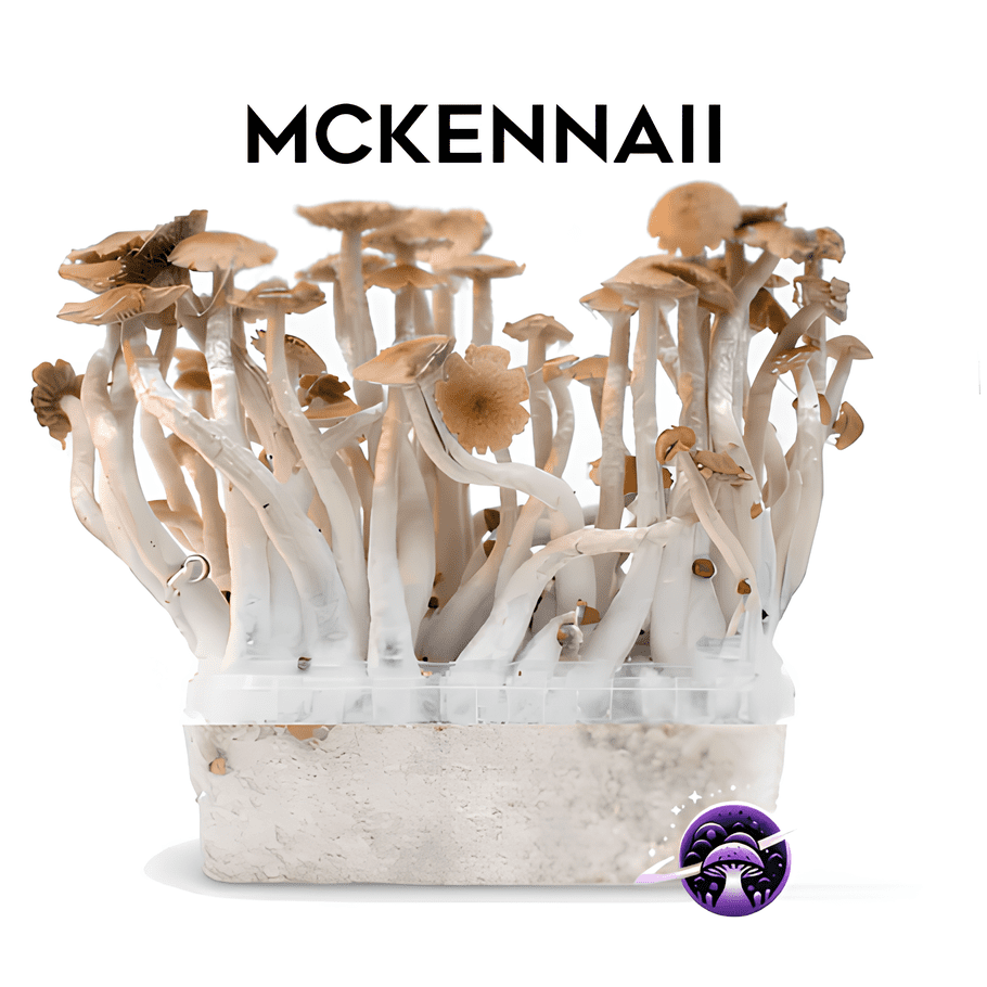 Mckennaii_GrowKit