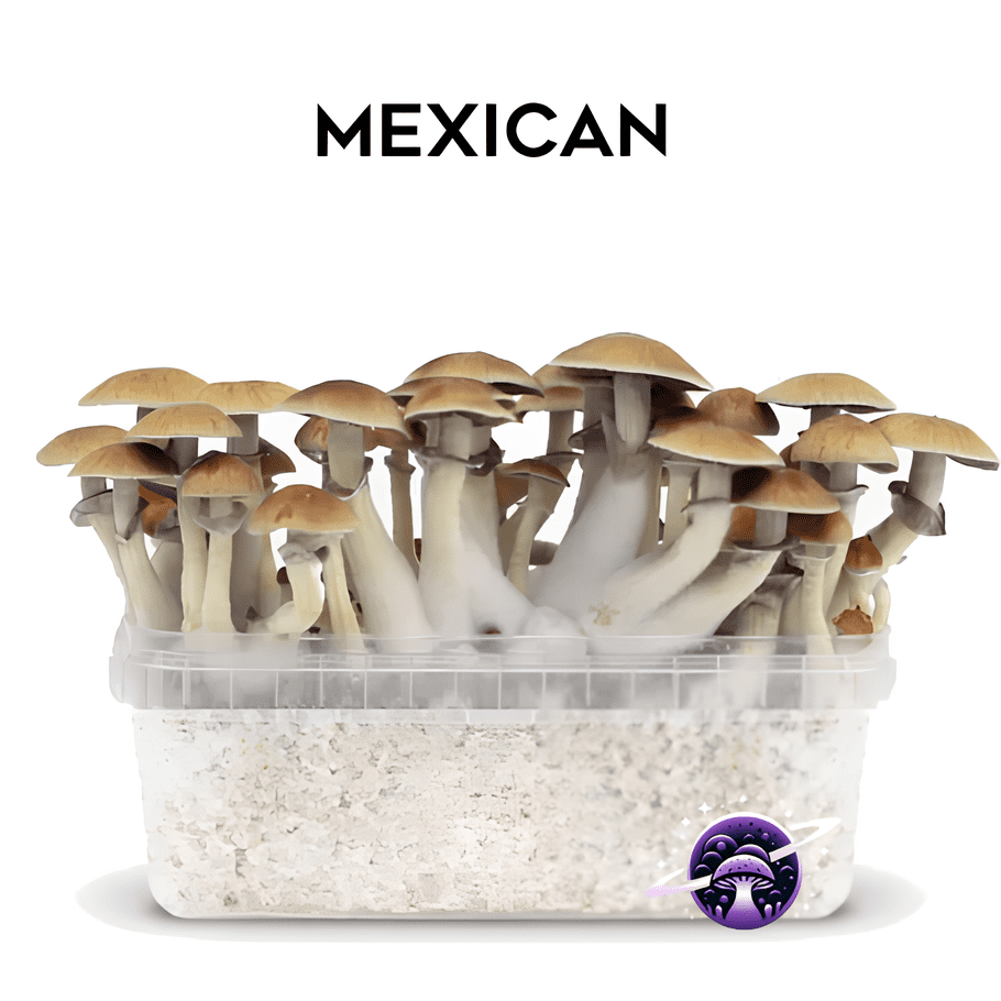 Mexican_GrowKit