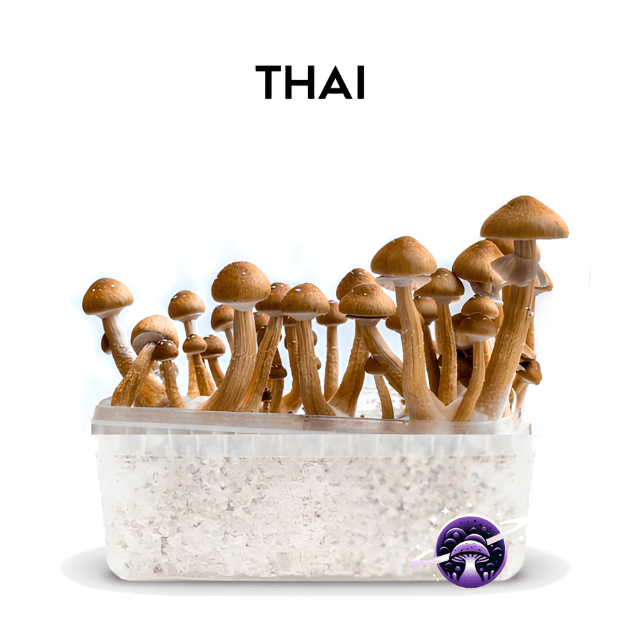 Thai_GrowKit