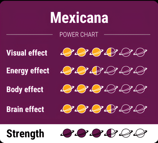 Magic-Truffles-Mexicana-PowerChart