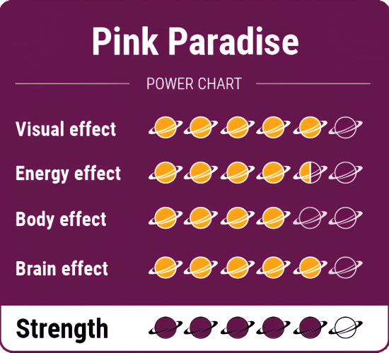 Magic-Truffles-PinkParadise-PowerChart