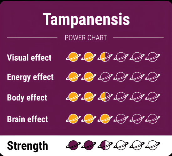 Magic-Truffles-Tampanensis-PowerCharts
